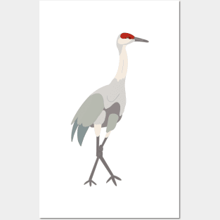 Sandhill Crane - Drawing Posters and Art